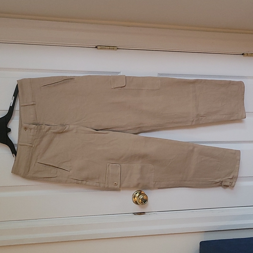 Aritzia Cargo Pants